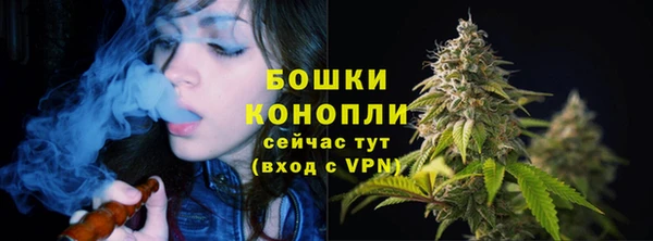 крисы Лабытнанги