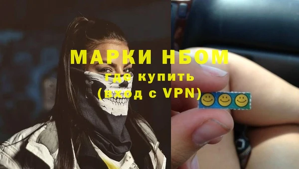 стаф Ладушкин